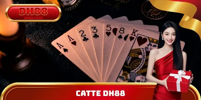 Catte DH88