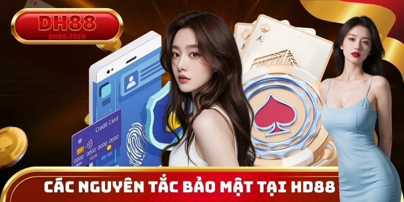 Giải thích cách các nguyên tắc bảo mật được thực thi minh bạch